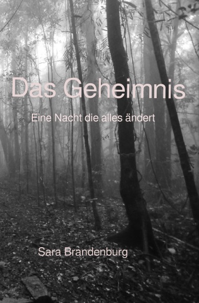 'Cover von Das Geheimnis'-Cover