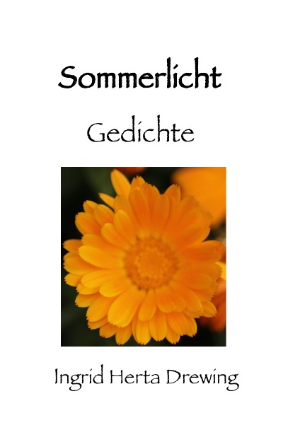 'Cover von Sommerlicht'-Cover
