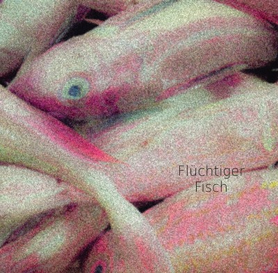 'Cover von Flüchtiger Fisch'-Cover