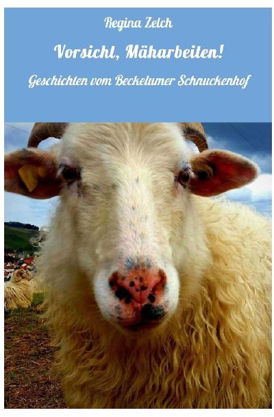 'Vorsicht, Mäharbeiten'-Cover