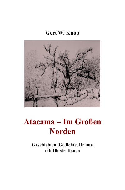 'Cover von Atacama – Im Großen Norden'-Cover