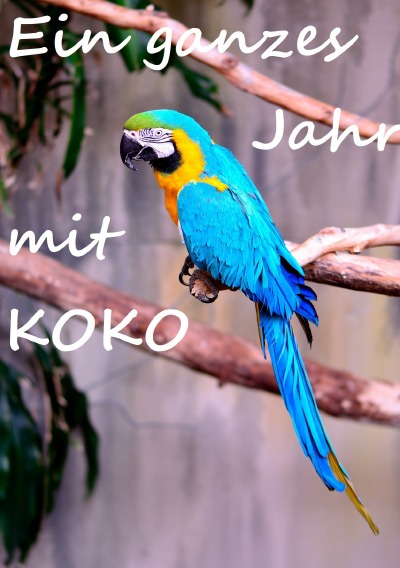 'Cover von Ein ganzes Jahr mit Koko'-Cover