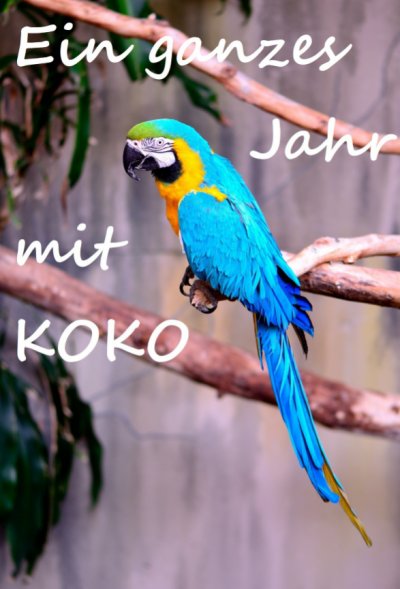 'Cover von Ein ganzes Jahr mit Koko'-Cover