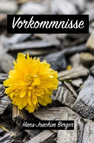 'Cover von Vorkommnisse'-Cover