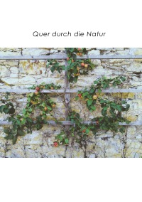 Quer durch die Natur - Hildegard  Giefers
