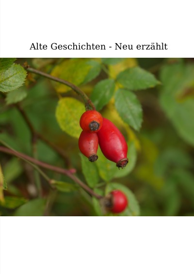 'Alte Geschichten – Neu erzählt.'-Cover