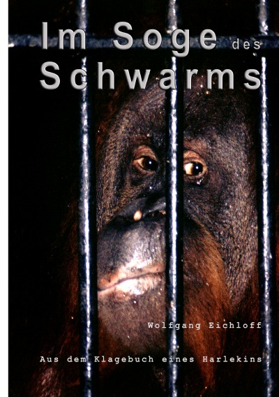 'Im Soge des Schwarms'-Cover
