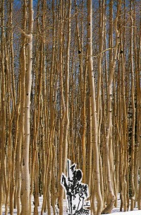 Rudnikow & Kautsky - Sternschnuppen - Ulrich Bergmann