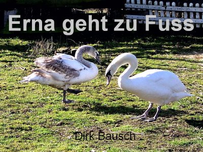 'Cover von Erna geht zu Fuss'-Cover