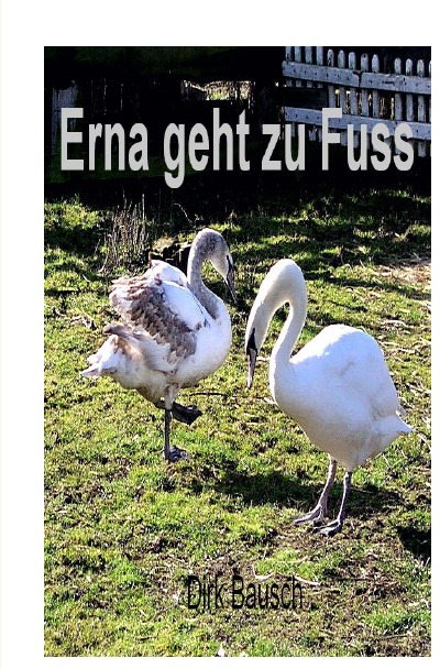 'Erna geht zu Fuss'-Cover