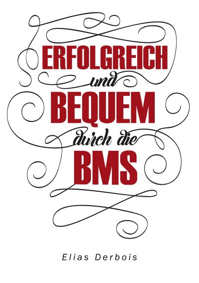 'Cover von ERFOLGREICH und BEQUEM durch die BMS'-Cover