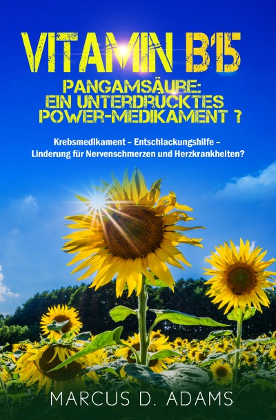 'Vitamin B15 – Pangamsäure: Ein unterdrücktes Power-Medikament?'-Cover