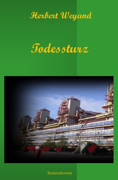 'Cover von Todessturz'-Cover