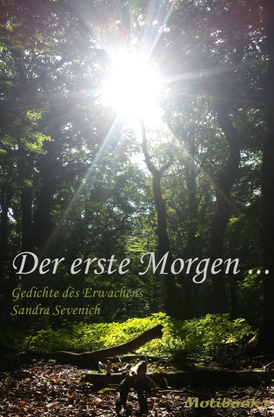 'Cover von Der erste Morgen …'-Cover