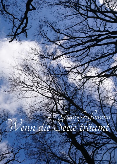 'Cover von Wenn die Seele träumt'-Cover
