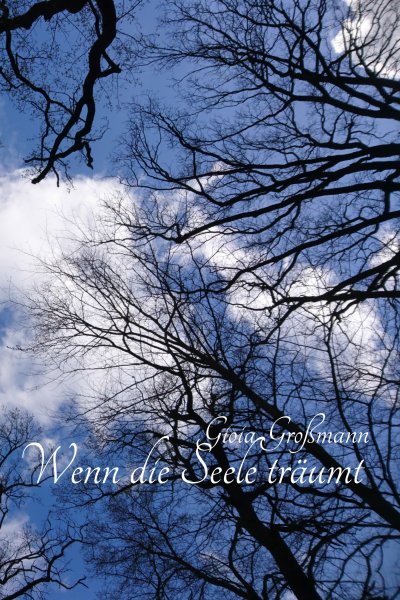'Wenn die Seele träumt'-Cover