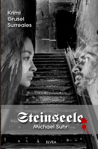 'Steinseele: Sonderedition Großdruck'-Cover
