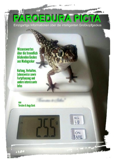 'Cover von PAROEDURA PICTA – Großkopfgeckos'-Cover