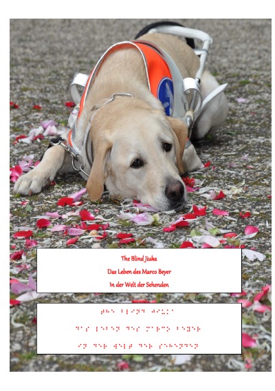 'Cover von The blind Jiuka – Das Leben des Marco Beyer in der Welt der Sehenden'-Cover
