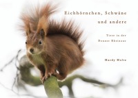 Eichhörnchen, Schwäne & andere Tiere der Bonner Rheinaue - Hardy Holte