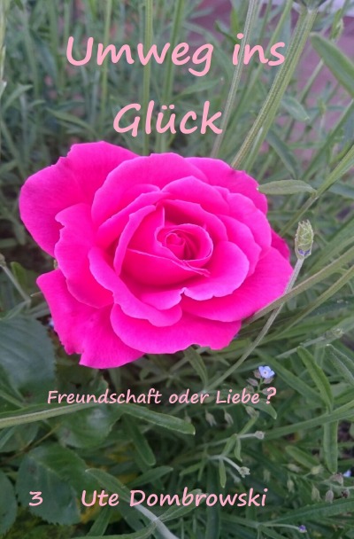 'Cover von Umweg ins Glück'-Cover