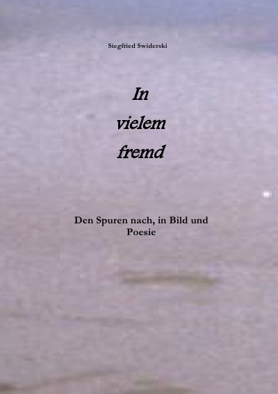 'Cover von In vielem fremd'-Cover