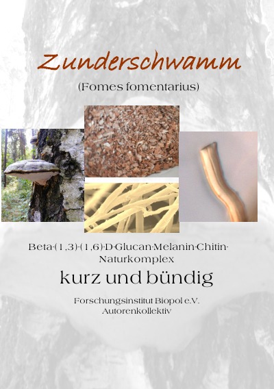 'Cover von Zunderschwamm Beta-(1,3)-(1-6)-D-Glucan-Melanin-Chitin-Naturkomplex  kurz und bündig'-Cover