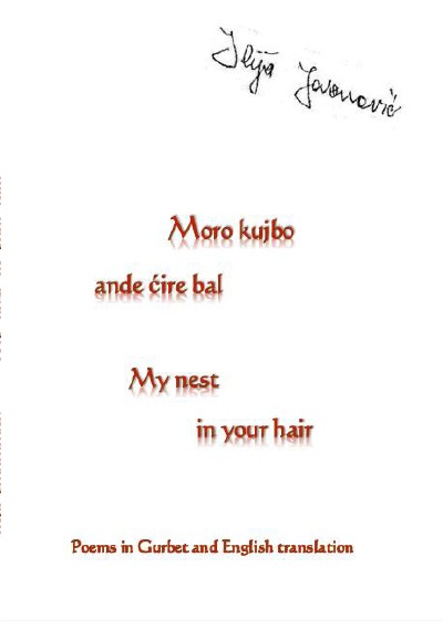 'My nest in your hair'-Cover