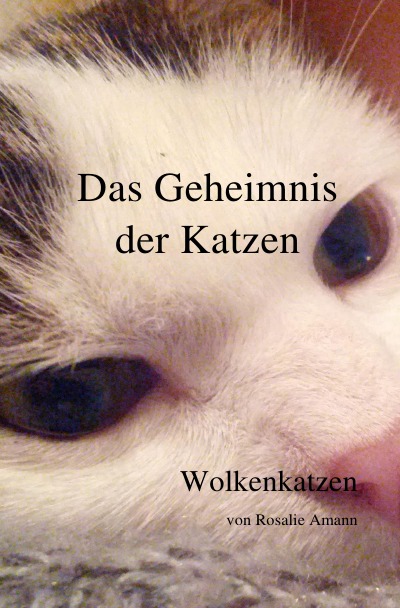 'Cover von Das Geheimnis der Katzen – Wolkenkatzen'-Cover