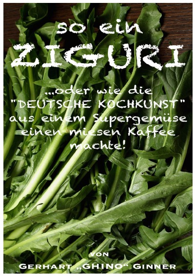 'Cover von so ein ZIGURI'-Cover