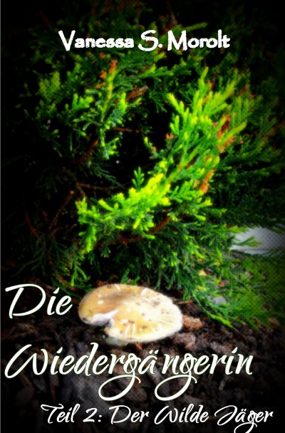 'Cover von Die Wiedergängerin'-Cover