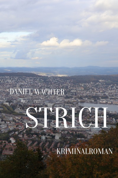 'Cover von Strich'-Cover