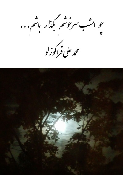 'Cover von Tscho Emshab Sarkhosham Bogzar Basham'-Cover