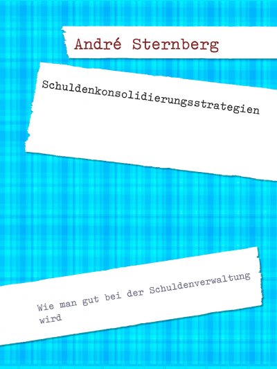 'Cover von Schuldenkonsolidierungsstrategien'-Cover