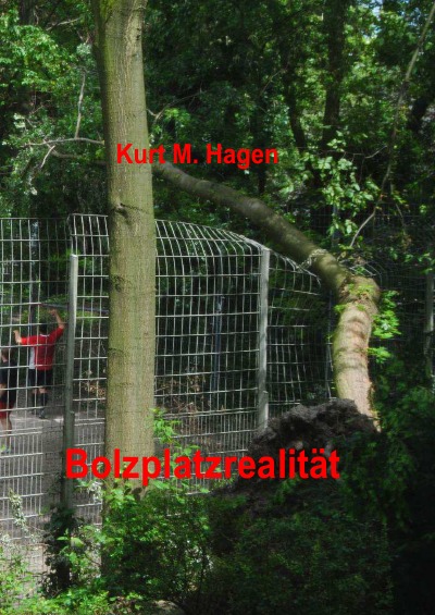'Cover von Bolzplatzrealität'-Cover