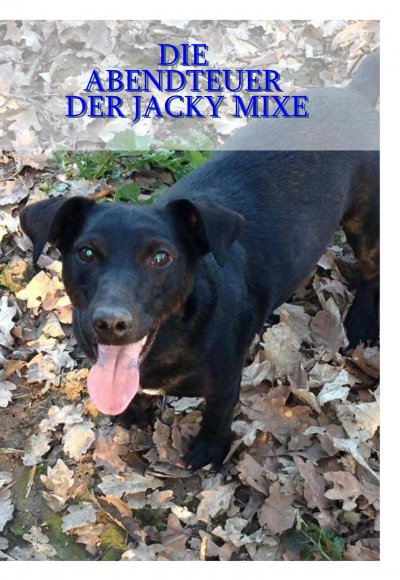 'Cover von Die Abenteuer der Jacky Mixe'-Cover