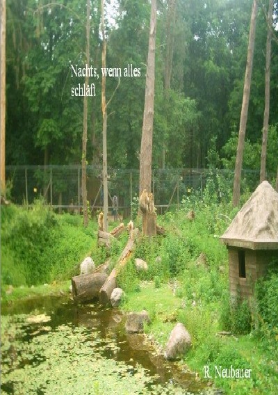 'Cover von Nachts ,wenn alles schläft'-Cover