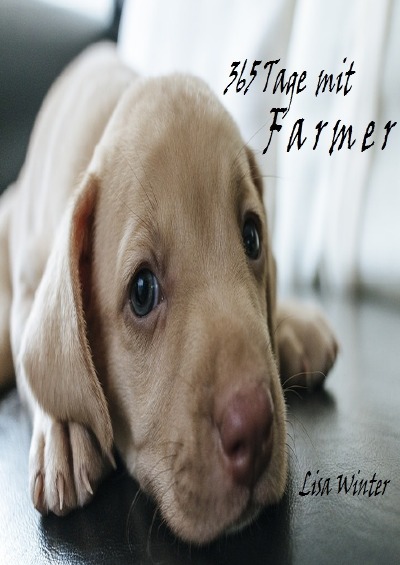 'Cover von Farmer'-Cover