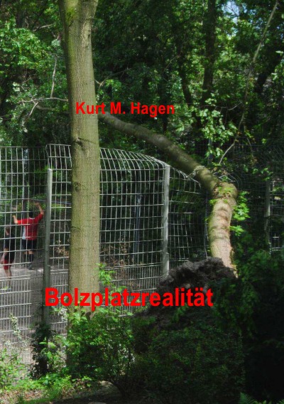 'Cover von Bolzplatzrealität'-Cover