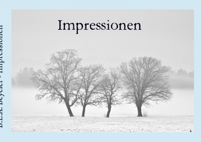 'Cover von Impressionen'-Cover