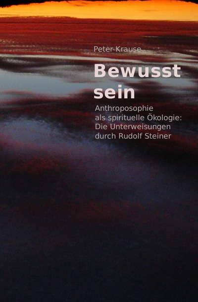 'Cover von Bewusst sein'-Cover
