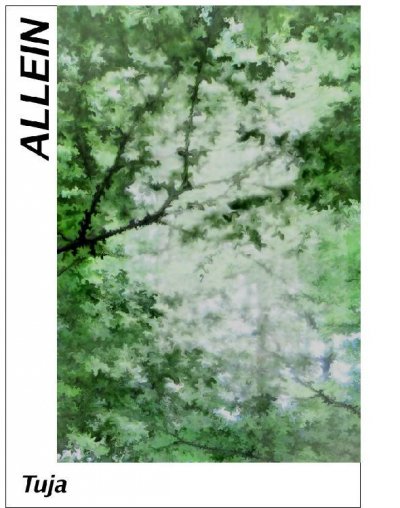 'Cover von Inzwischen denke ich, dass es besser ist, allein einsam zu sein, als einsam unter Menschen.'-Cover
