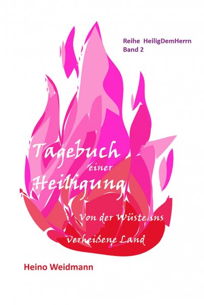 'Tagebuch einer Heiligung'-Cover