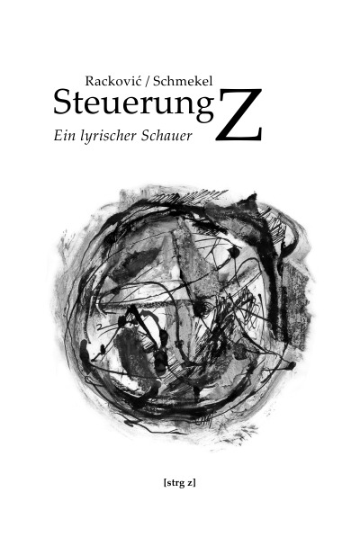 'Cover von Steuerung Z'-Cover