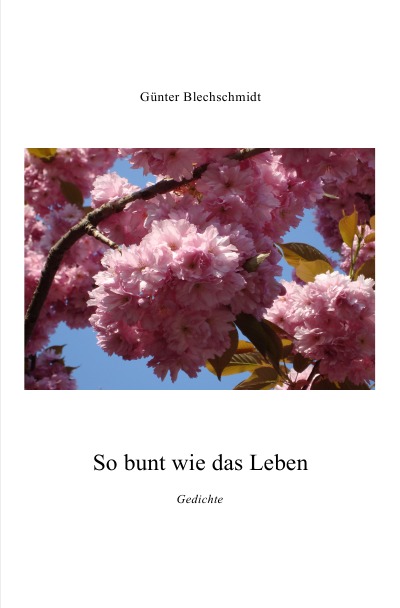 'Cover von Die Welt'-Cover