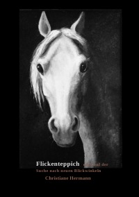 Flickenteppich - Auf der Suche nach neuen Blickwinkeln - Christiane Hermann