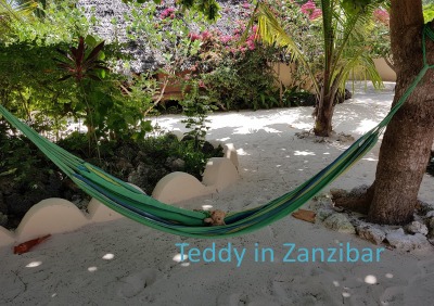 'Teddy in Zanzibar'-Cover