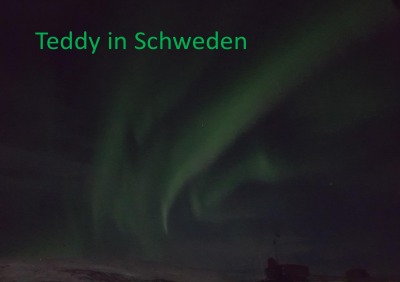 'Cover von Teddy in Schweden'-Cover