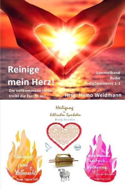 'Reinige mein Herz!'-Cover