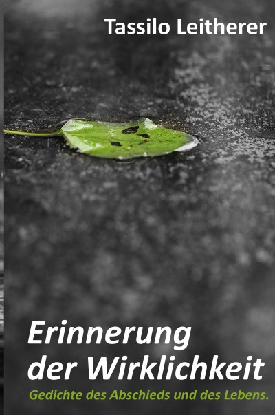 'Cover von Erinnerung der Wirklichkeit'-Cover